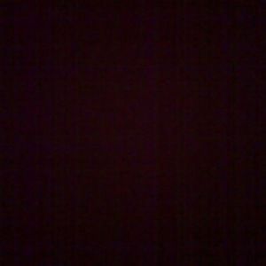 Meet your Posher, Rickie